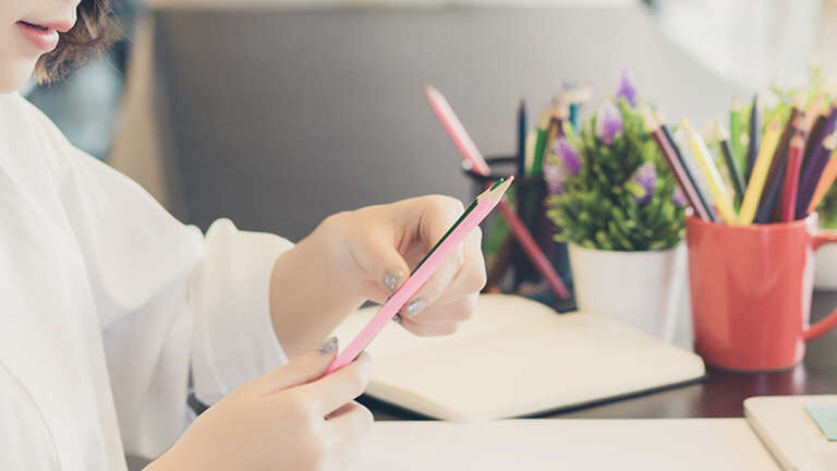 I-20 Reactivation Request Form header